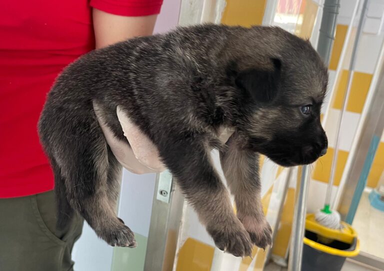 multimedia-foto89860-957-1