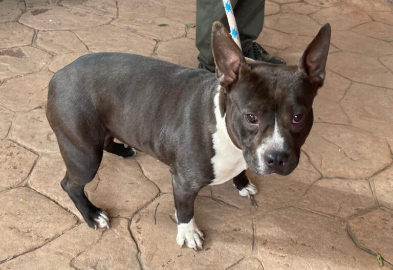 multimedia-foto89929-239-1