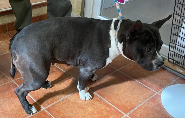 multimedia-foto89931-240-1