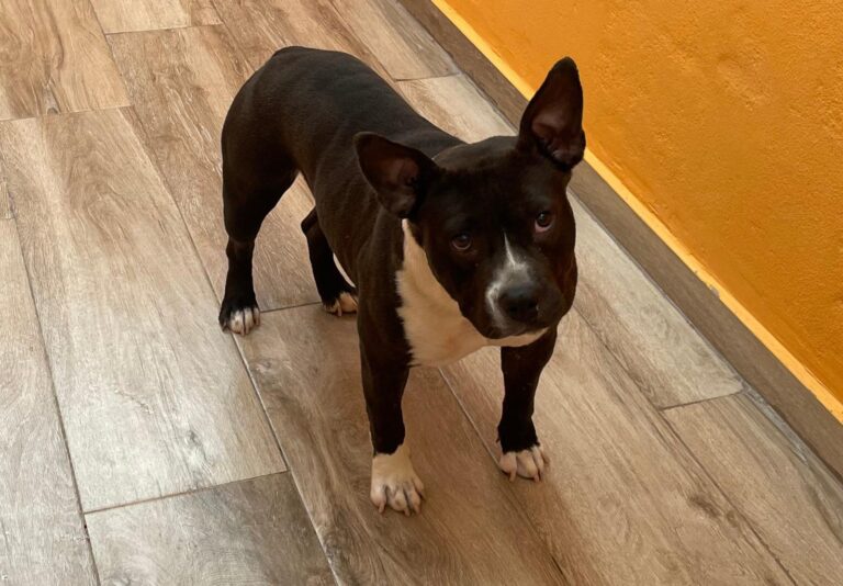 multimedia-foto89933-240-1