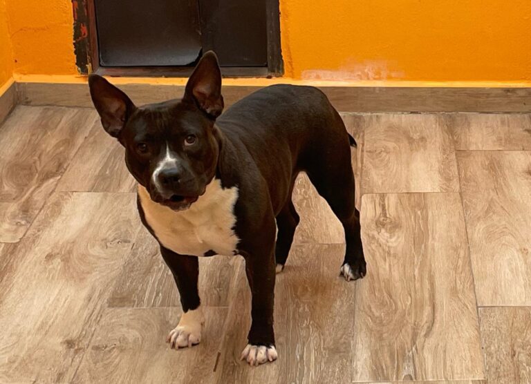 multimedia-foto89934-241-1