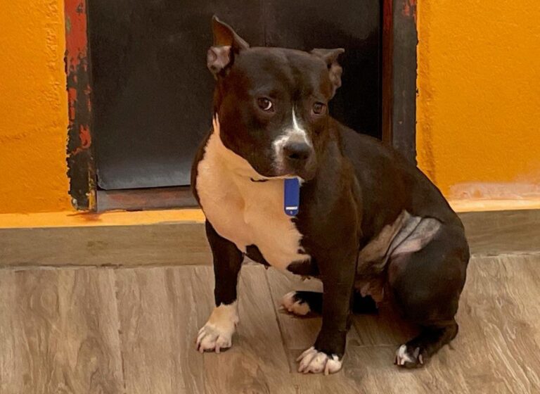 multimedia-foto89936-241-1