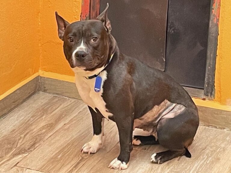 multimedia-foto89937-241-1