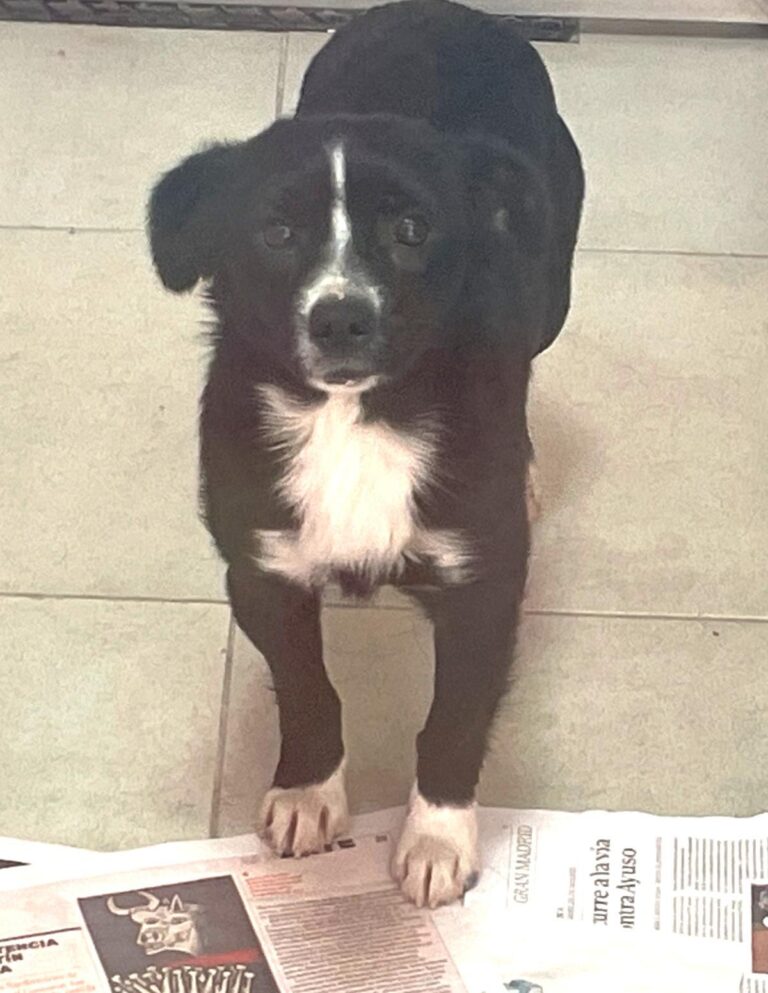 multimedia-foto89939-622-1