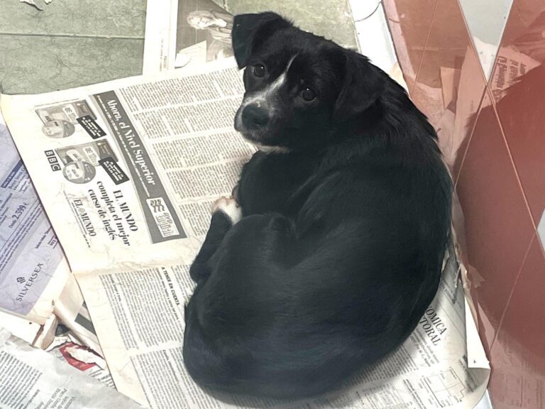 multimedia-foto89940-622-1