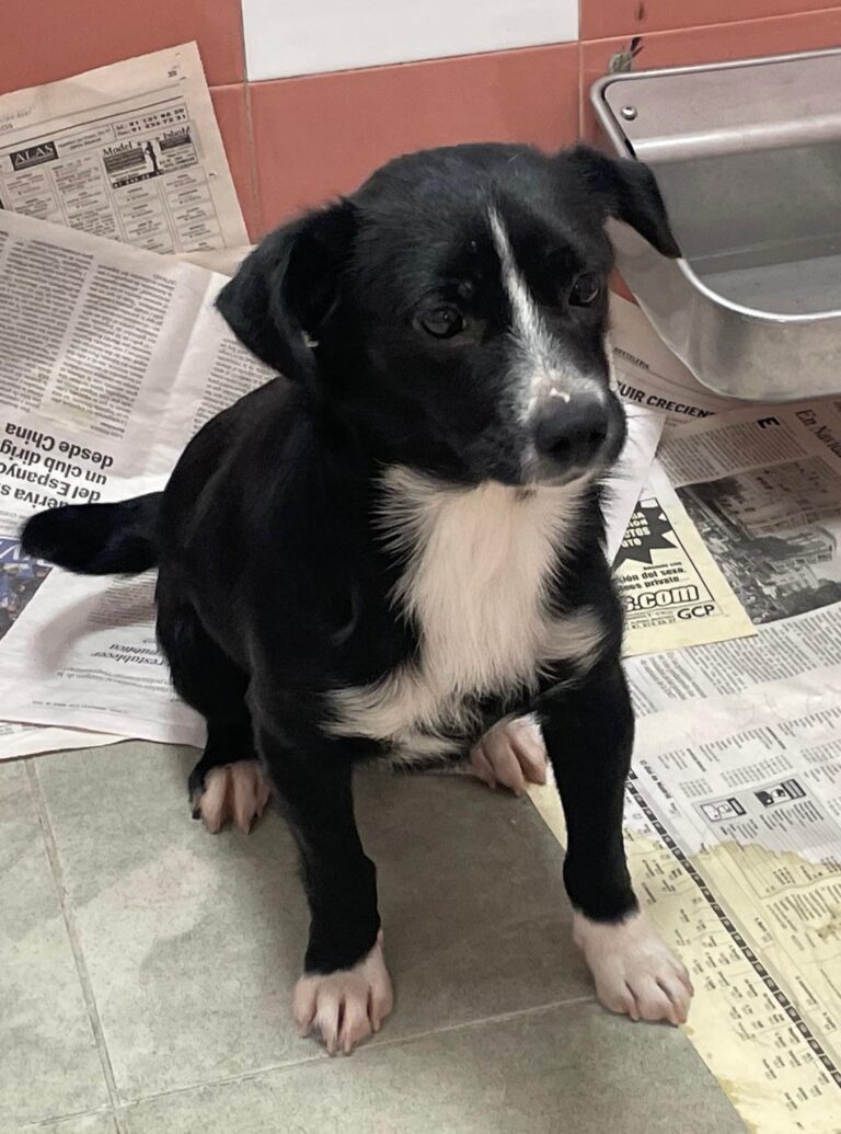 multimedia-foto89941-622-1