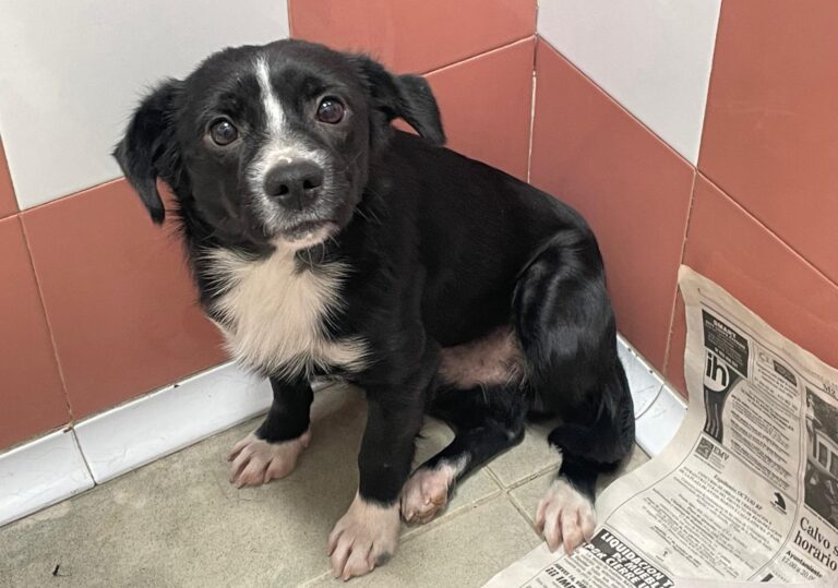 multimedia-foto89942-623-1