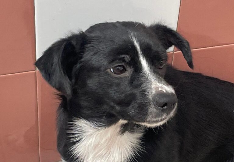 multimedia-foto89943-623-1