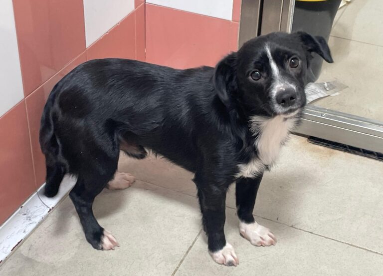 multimedia-foto89944-623-1