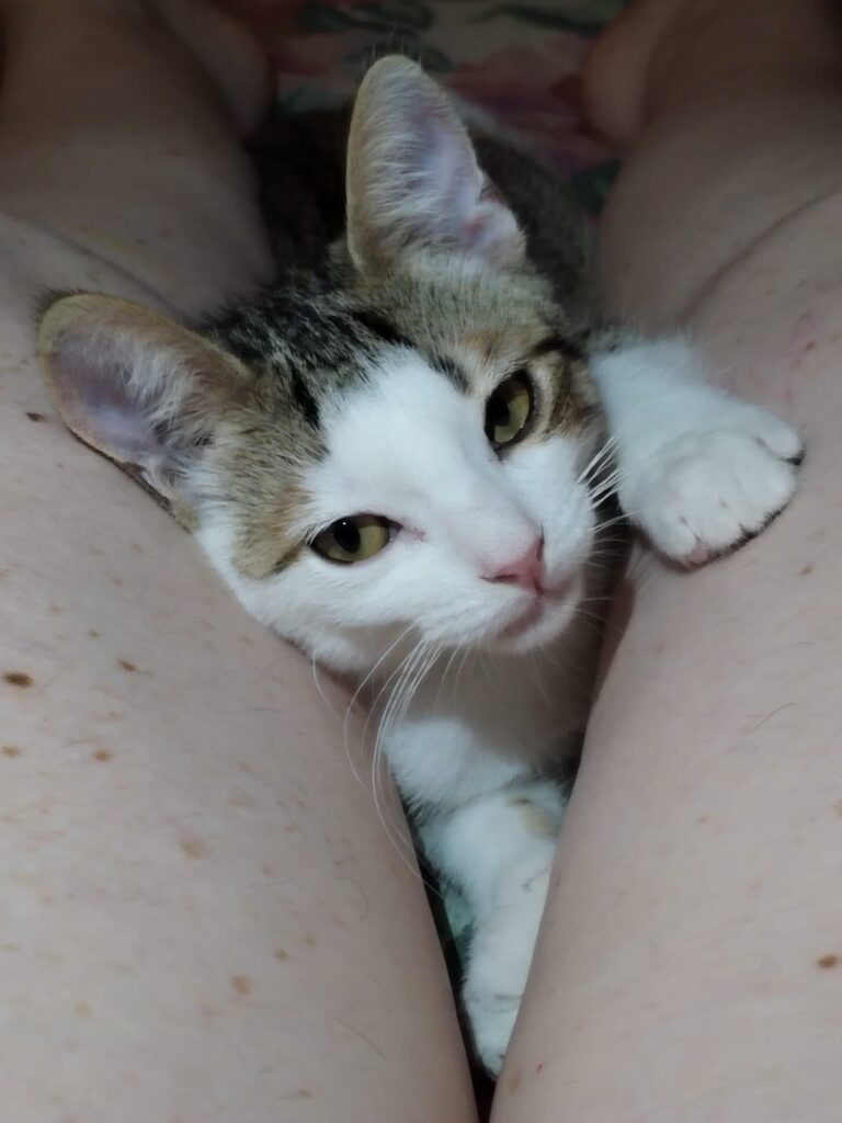 multimedia-foto89965-701-1