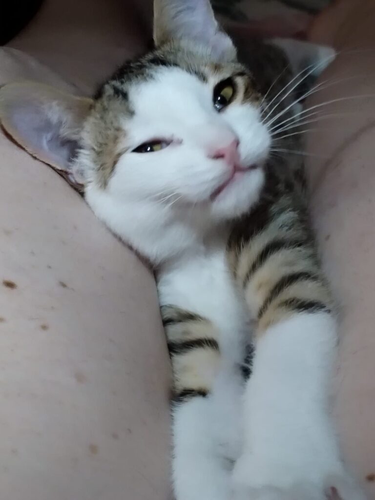 multimedia-foto89966-702-1