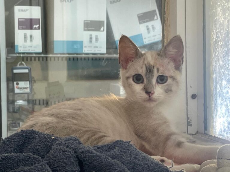 multimedia-foto89971-803-1