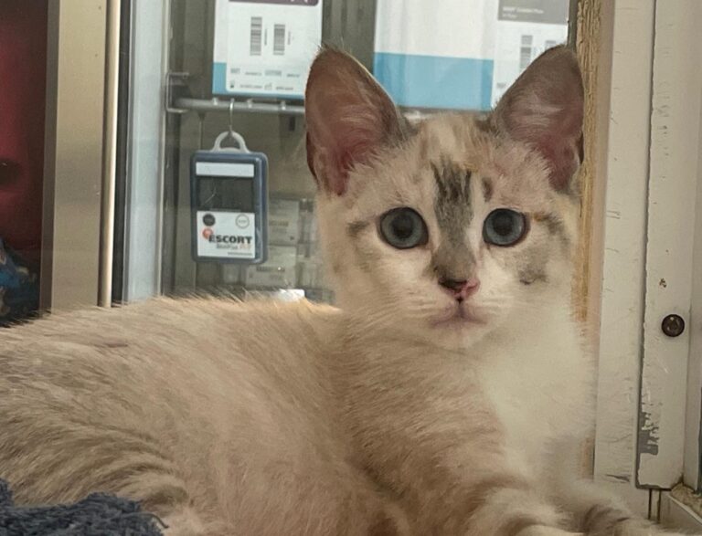 multimedia-foto89972-804-1