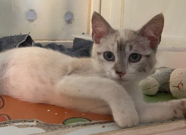 multimedia-foto89973-804-1