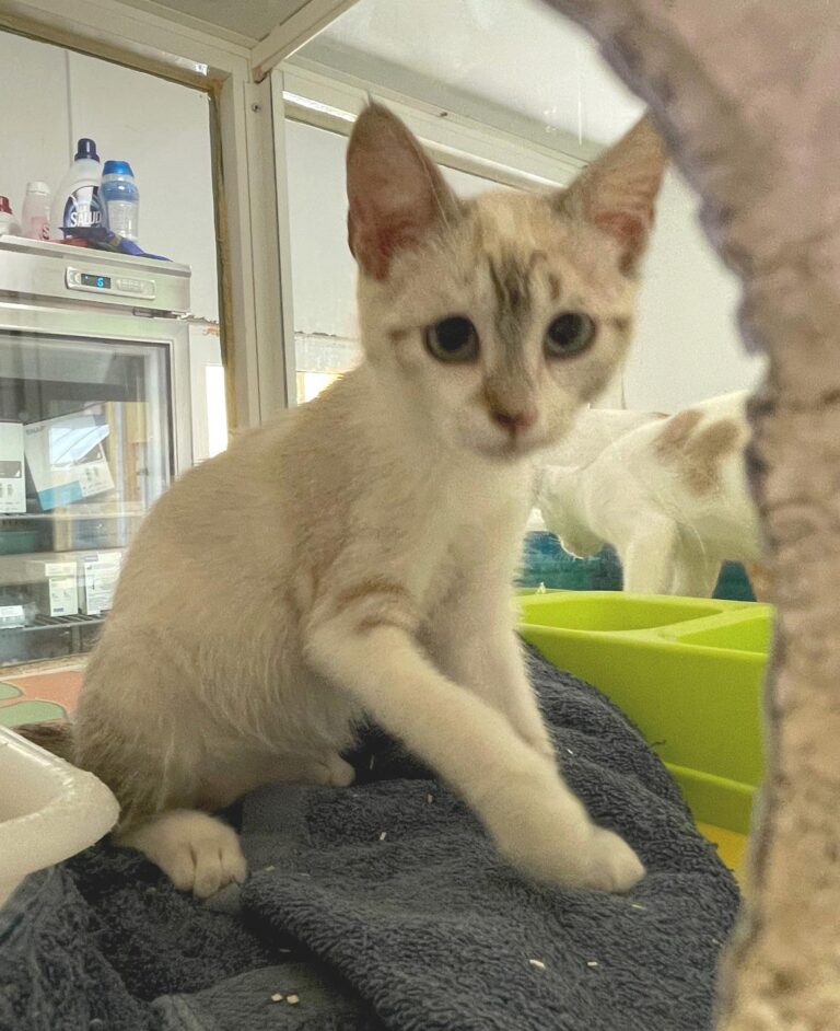 multimedia-foto89975-804-1