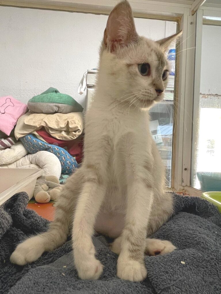 multimedia-foto89976-804-1