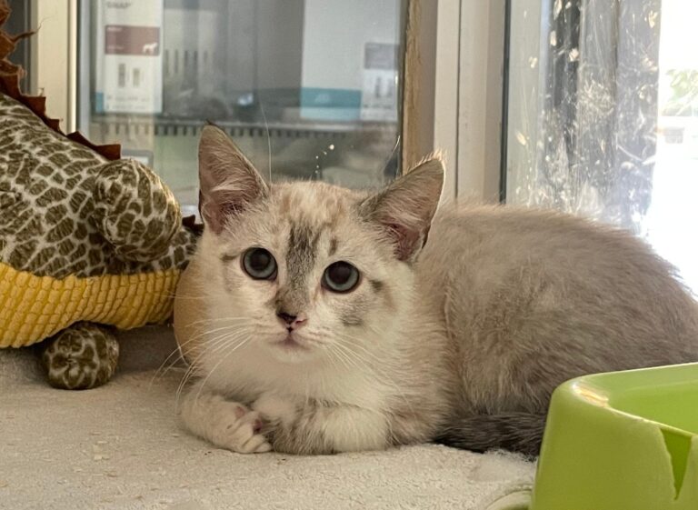 multimedia-foto89977-805-1