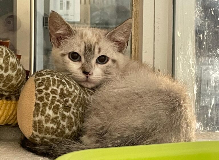 multimedia-foto89978-805-1