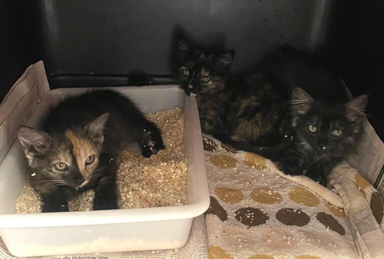 multimedia-foto90012-821-1