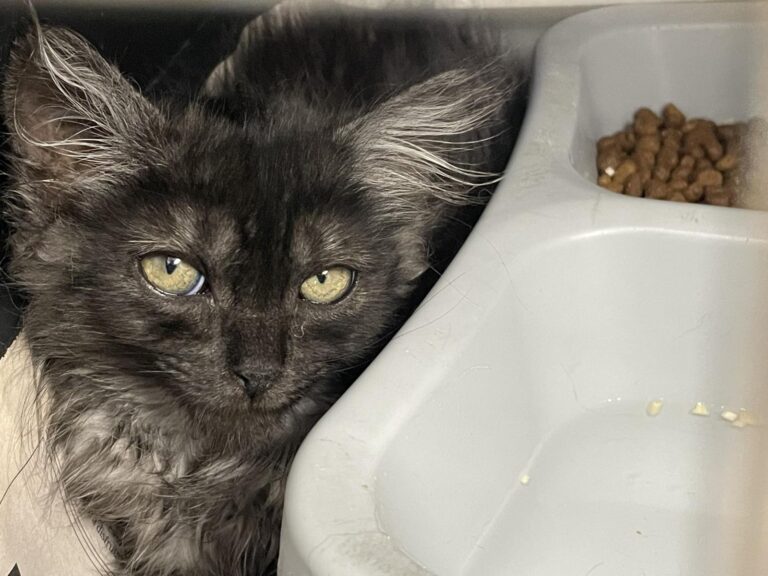 multimedia-foto90013-821-1