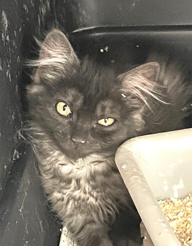 multimedia-foto90014-821-1