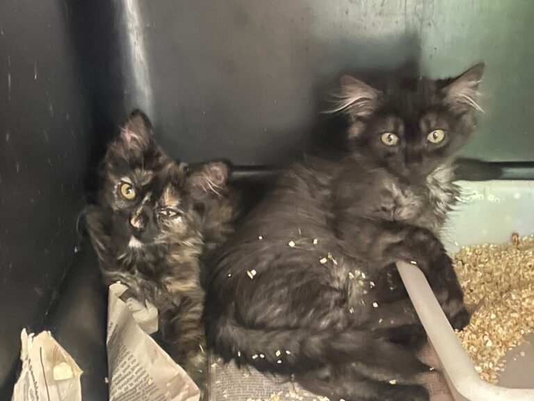 multimedia-foto90016-822-1