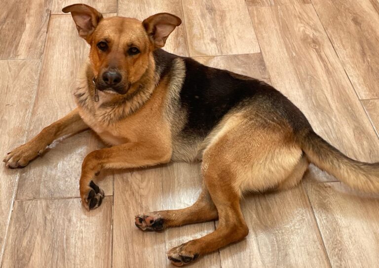 multimedia-foto90028-696-1