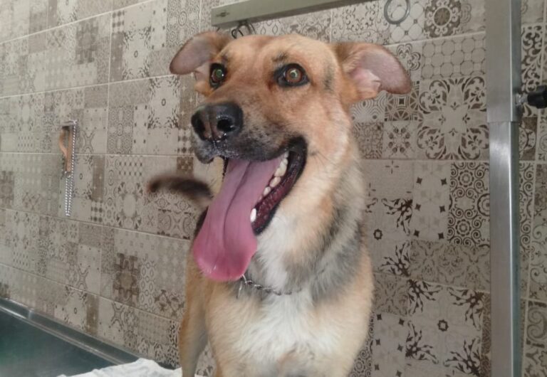 multimedia-foto90030-697-1