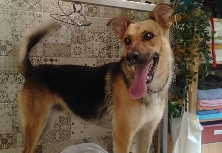 multimedia-foto90031-697-1