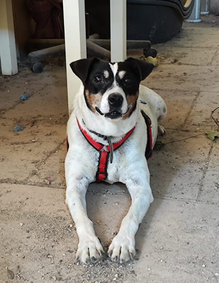 multimedia-foto90034-298-1