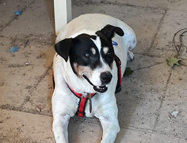 multimedia-foto90035-298-1