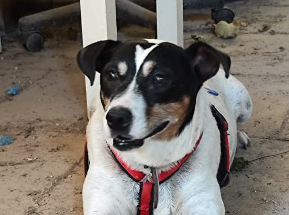 multimedia-foto90036-298-1