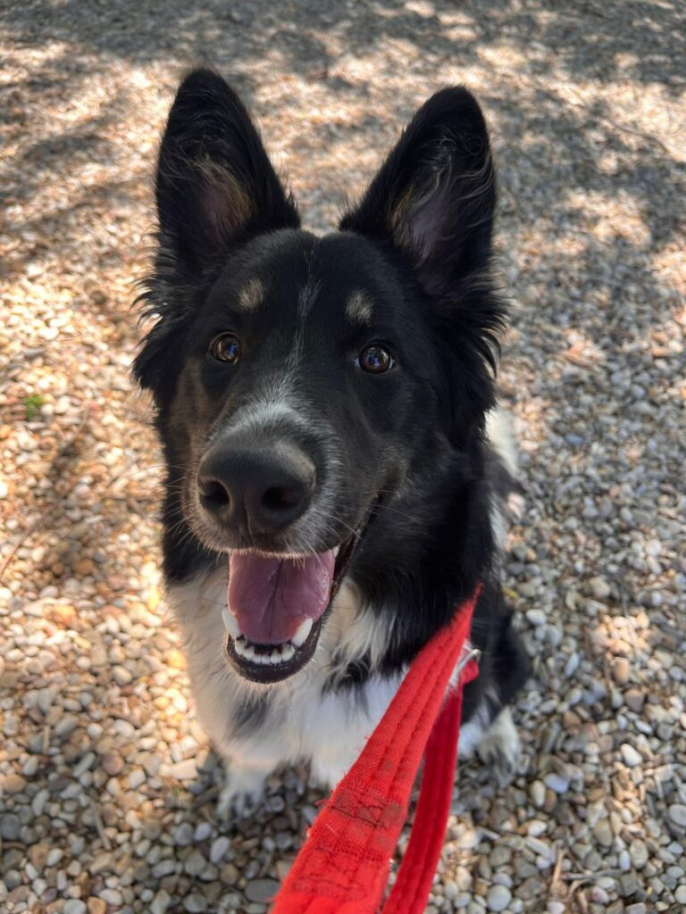 multimedia-foto90037-382-1