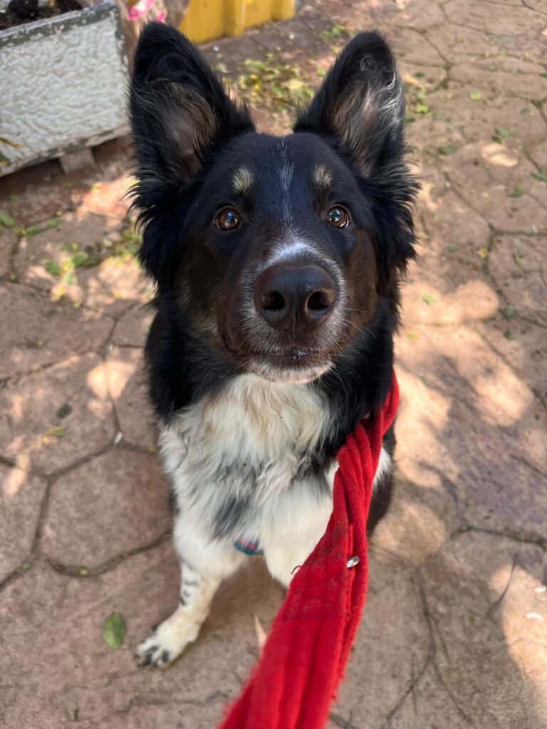 multimedia-foto90038-382-1