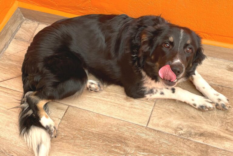 multimedia-foto90039-382-1