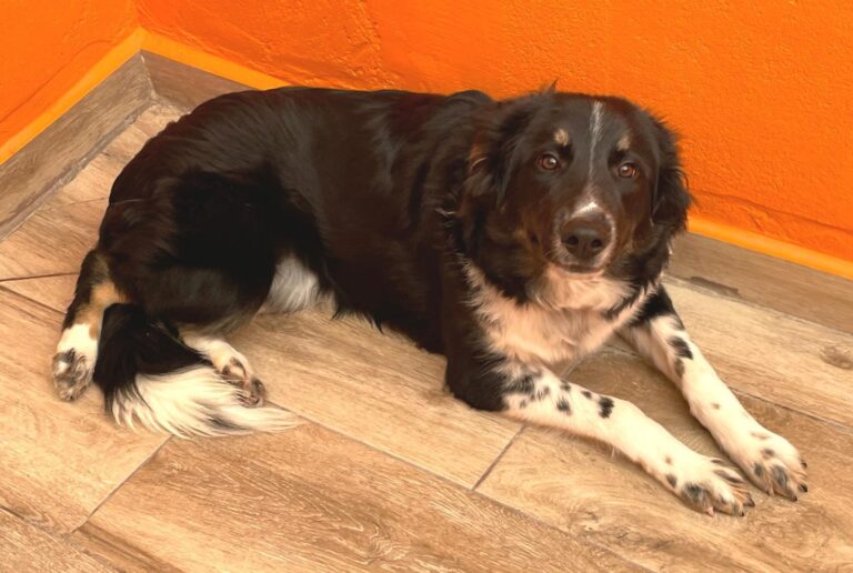 multimedia-foto90040-383-1