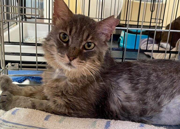 multimedia-foto90051-179-1