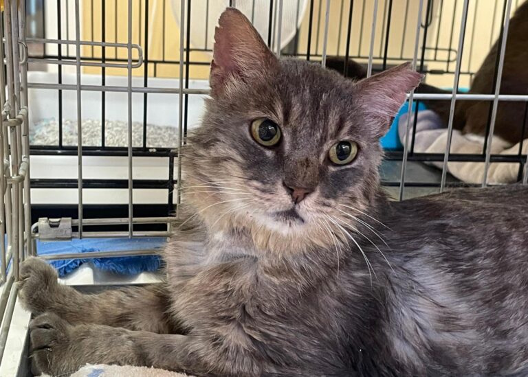 multimedia-foto90052-179-1