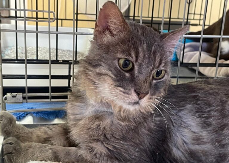 multimedia-foto90053-179-1