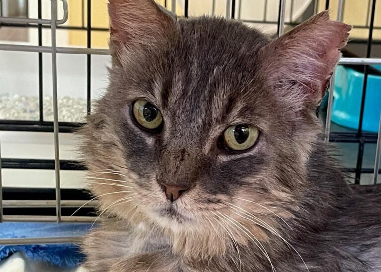 multimedia-foto90054-180-1