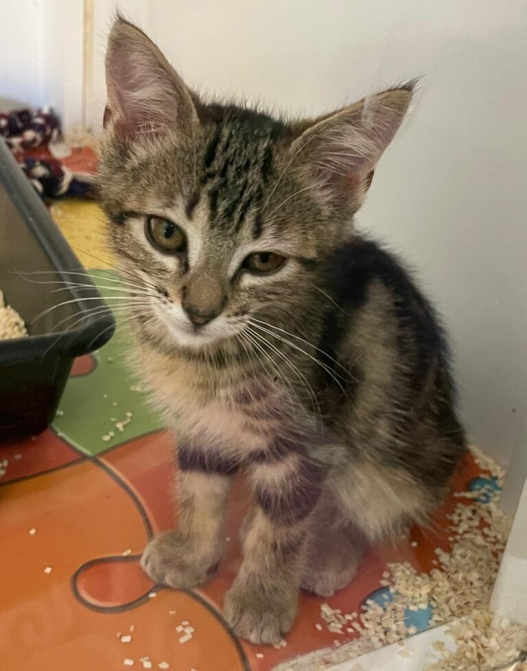 multimedia-foto90072-308-1