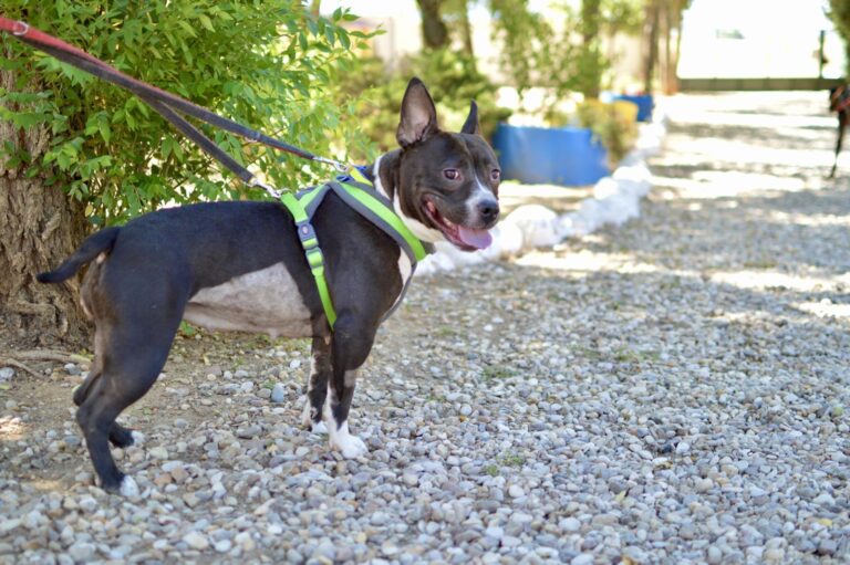 multimedia-foto90100-464-1