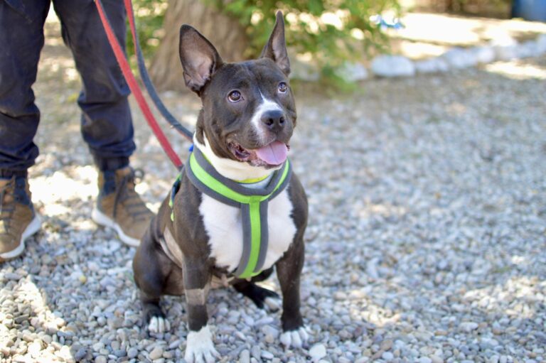 multimedia-foto90101-464-1