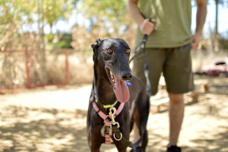 multimedia-foto90102-504-1