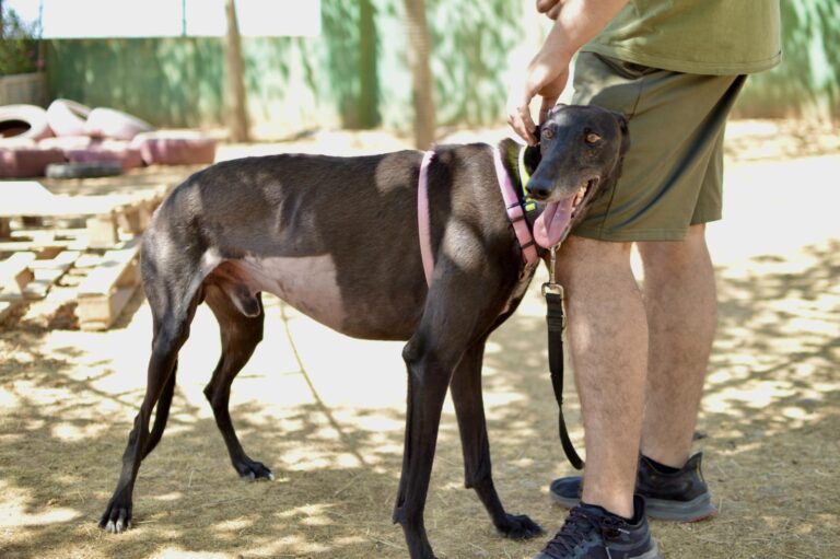 multimedia-foto90103-505-1