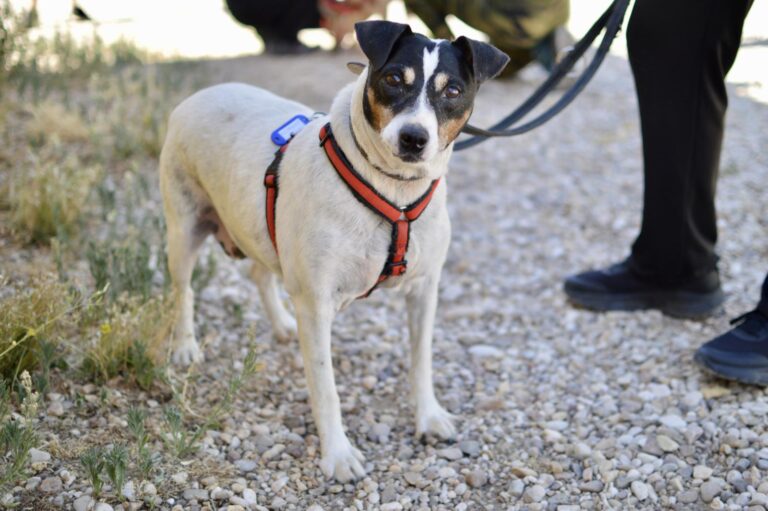 multimedia-foto90106-565-1