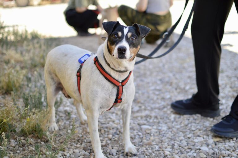 multimedia-foto90107-566-1