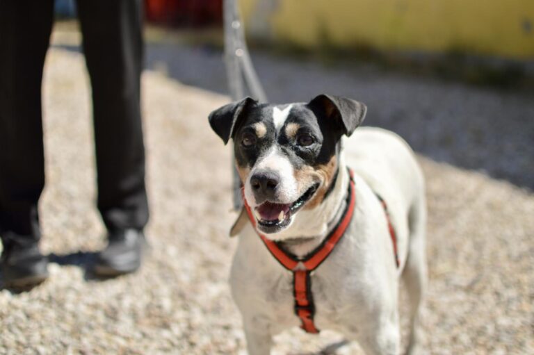 multimedia-foto90108-566-1