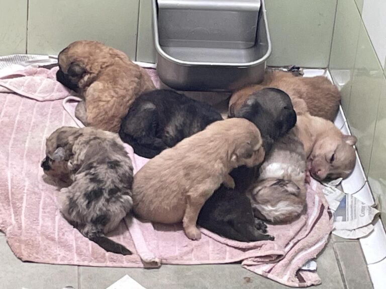 multimedia-foto90120-790-1