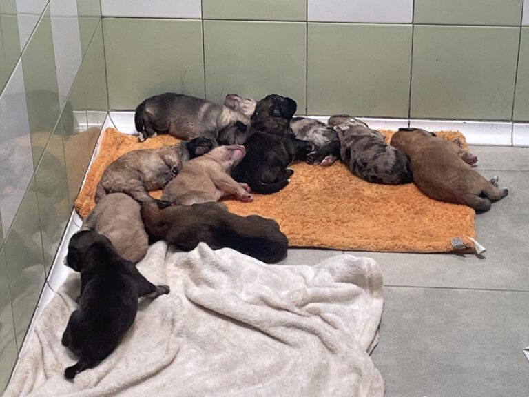 multimedia-foto90136-813-1